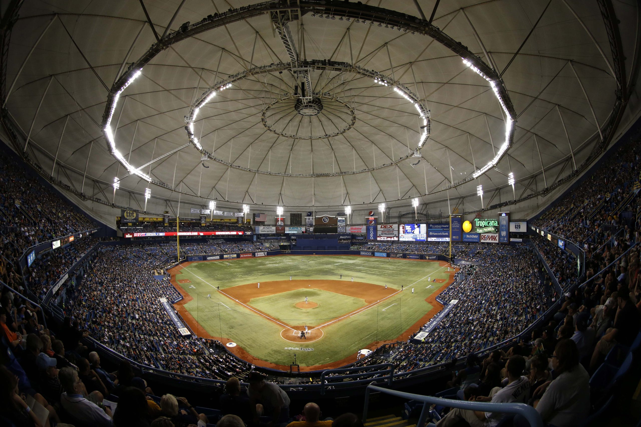 Tropicana Field, St. Petersburg